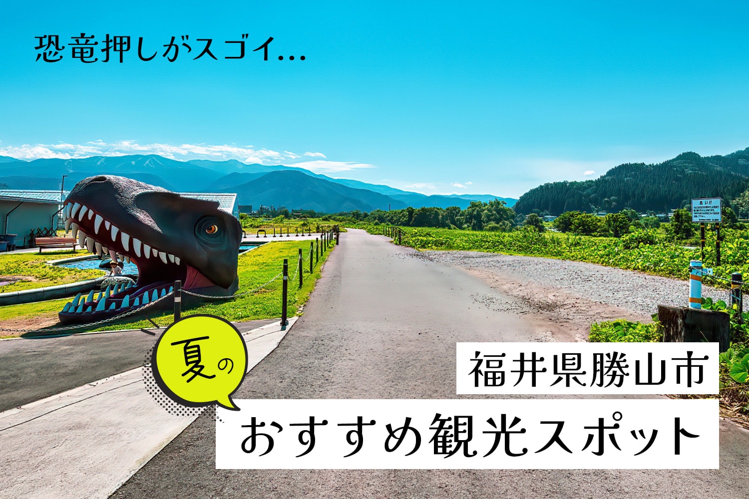勝山を満喫！4CROWNSスタッフが教える夏のおすすめ観光スポット