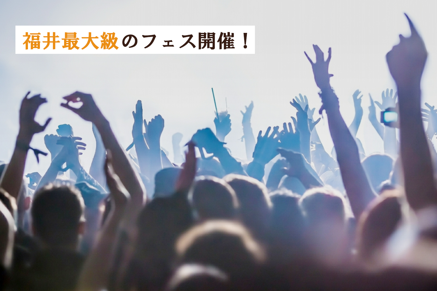 【2026年】福井県最大級グリーンフラッシュフェスin芝政開催！