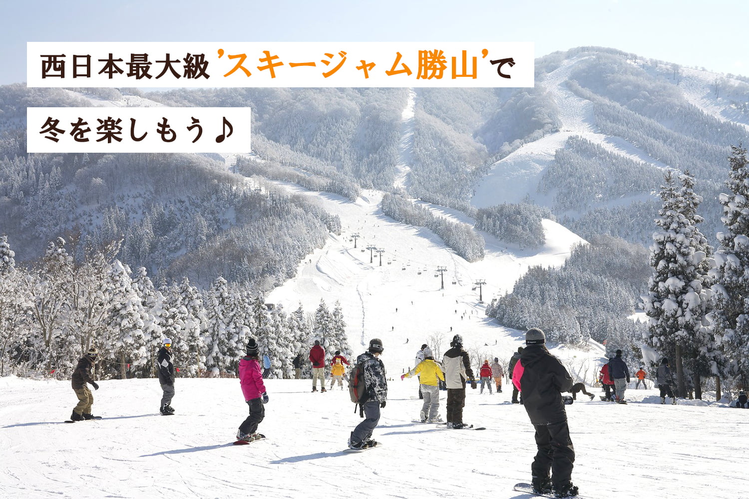 西日本最大級！スキージャム勝山で楽しむ冬のウィンタースポーツ